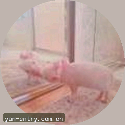 吴婷
