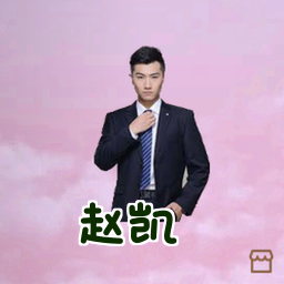 赵凯